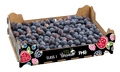 Blueberries - 1kg