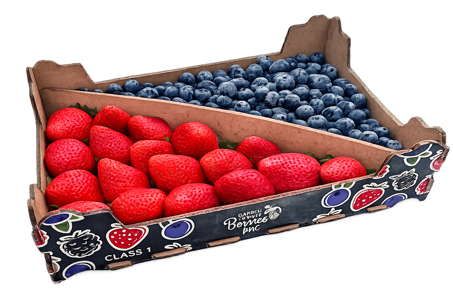 Fresh Mixed Berries (1kg)