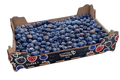 Fresh Blueberries (1kg)