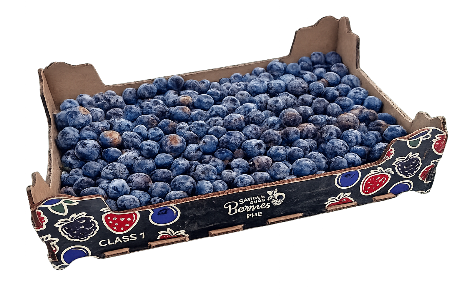 Fresh Blueberries (1kg)